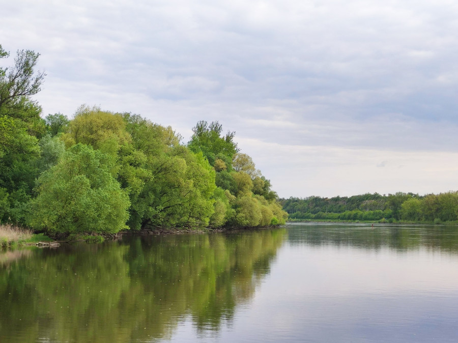 Pronájem pozemku u řeky Labe, Roudnice nad Labem