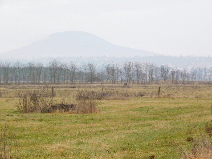 Prodej pozemků na výstavbu Domu pro seniory - Roudnice n. L.