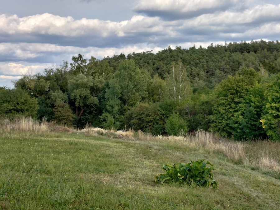 Prodej krásné přírody - zahrady v obci Příčina (Rakovnicko)