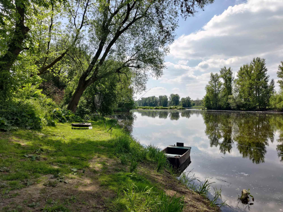 Prodej pozemku k rybaření u Labe, Roudnice nad Labem